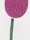 Nail File TRENDY 200/240 - Tulip